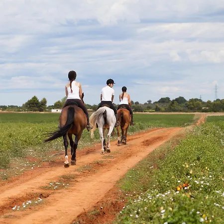 Seaside - App 2 * Banjole