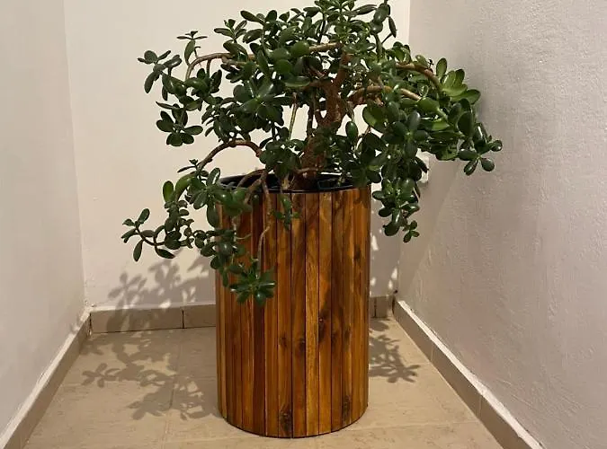 Seaside - App 2 * Banjole