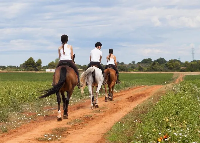 Seaside - App 2 * 반졸레